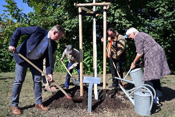 Kulturstaatsministerin Roth und Ministerpräsident Ramelow pflanzen in Weimar einen Baum.