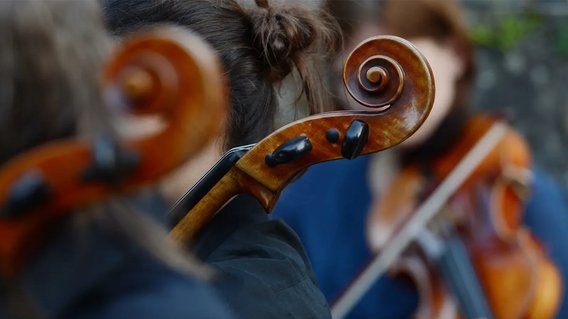 Bild zum Artikel: "Bund fördert Orchester und Ensembles – Roth: „Orchesterlandschaft fit für die Zukunft machen“"